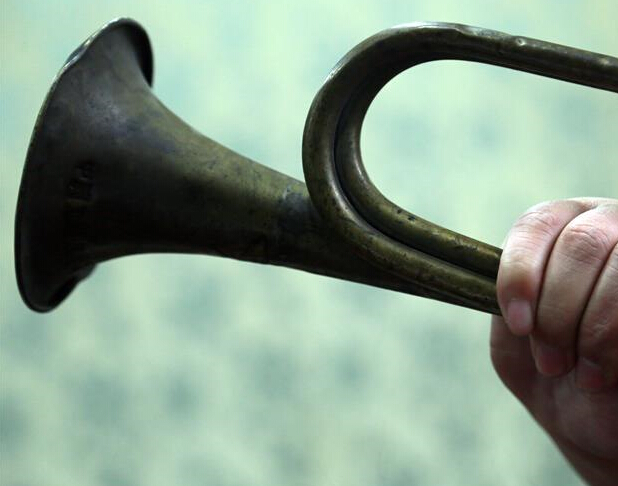 ��������չʾ�����������š�