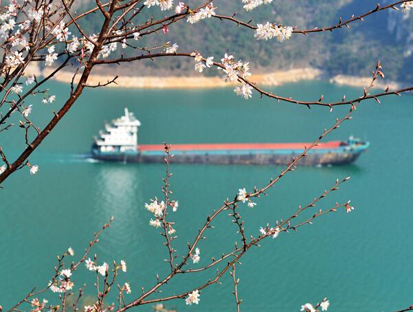 ������Ͽ��