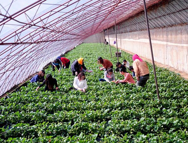 ֧ũ�Ͷ������� ���ʵ������䡱