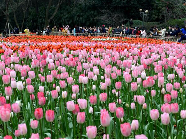 ���죺��ů���������ˡ�