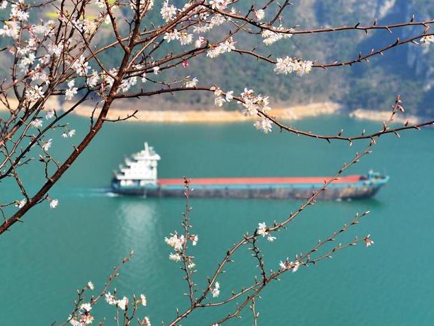 �������� ��ɫ������Ͽ������