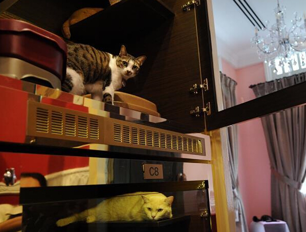 �¼�����5�Ǽ�è������õꡱ