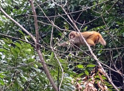 ������ӹ��Ҽ�����������⨺�Ⱥ��