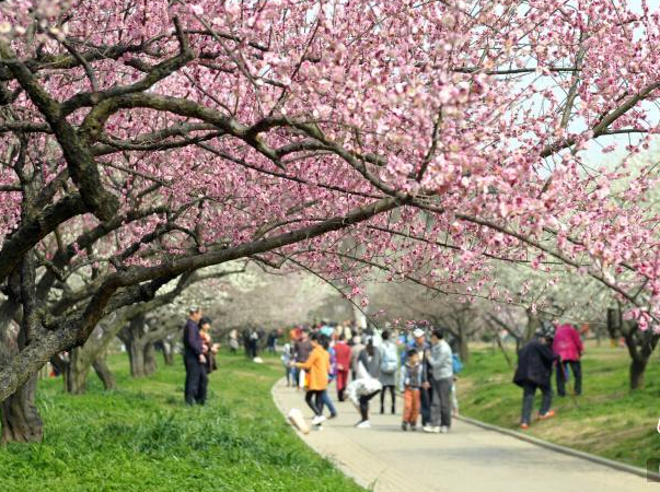 �人��÷��Ŵ���Ũ��