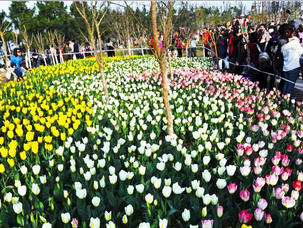 ���������������ϲ� �����ο�̤���ͻ���