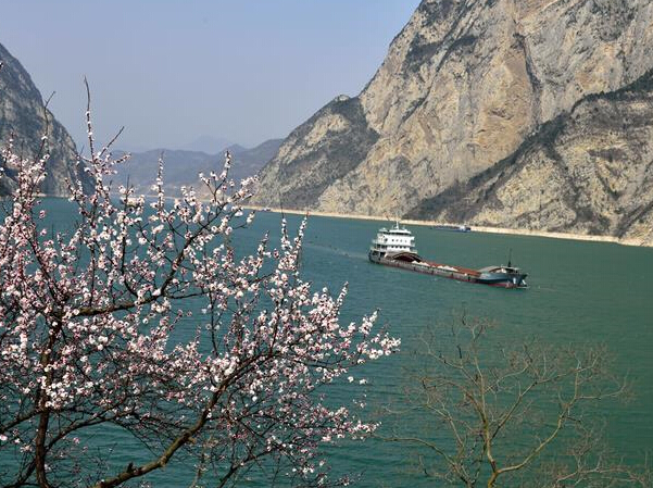 ������Ͽ��