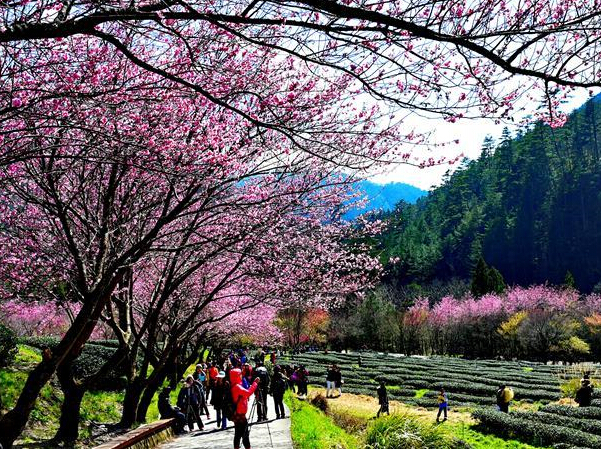 ̨�������ӣ����