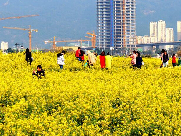 �������� ���ݹ�԰�ɽ�ɫ������