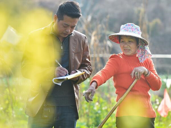 �������æ��