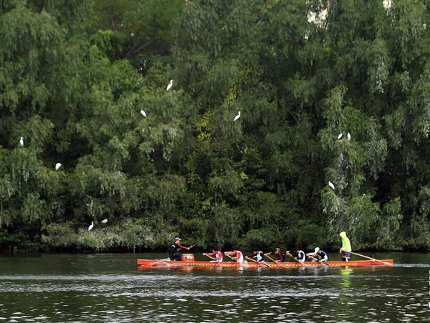 �������а��طɡ�