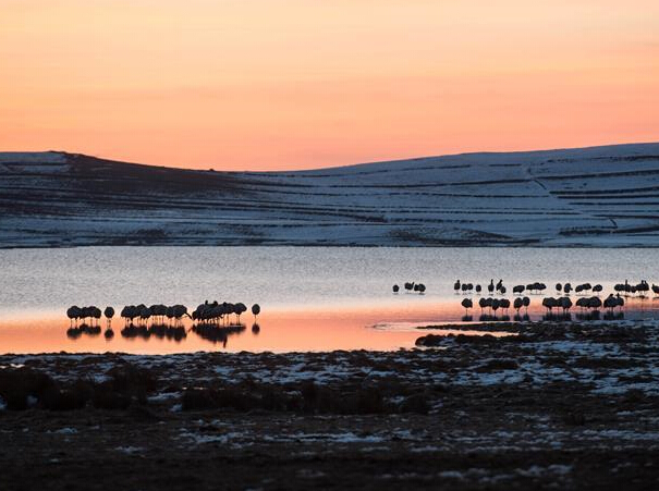 �������֮�ϡ�