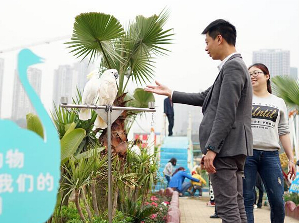 �붯�����ܽӴ���