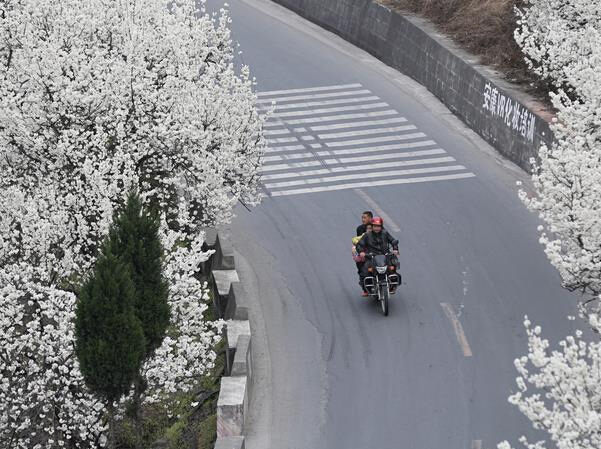 ���ա�ѩ���� ӣ�һ�����