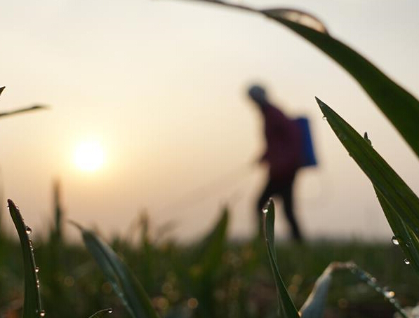 ���ش����Ŀ�¡�