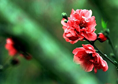 ���������һ��������续��