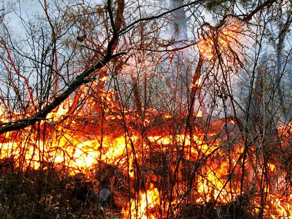 ���෢���ദɽ�� �˾����ڳ�����