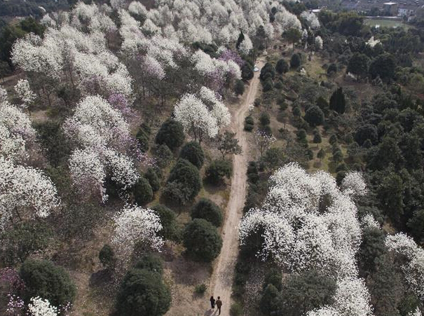 �㽭�������������������