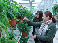 ��ʤ�ֵ��ܹ���ۻ��ͻ�������조���ˡ���