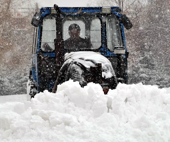 ������ӭǿ��ѩ��