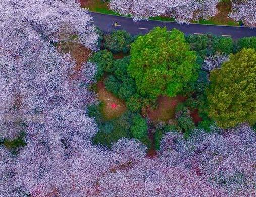 ���ĳ�ɳ800Ķӣ��԰ ����ӣɫ��ʫ�续��