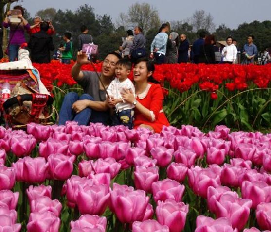 ���������Ĵ�����̤���ͻ�æ��