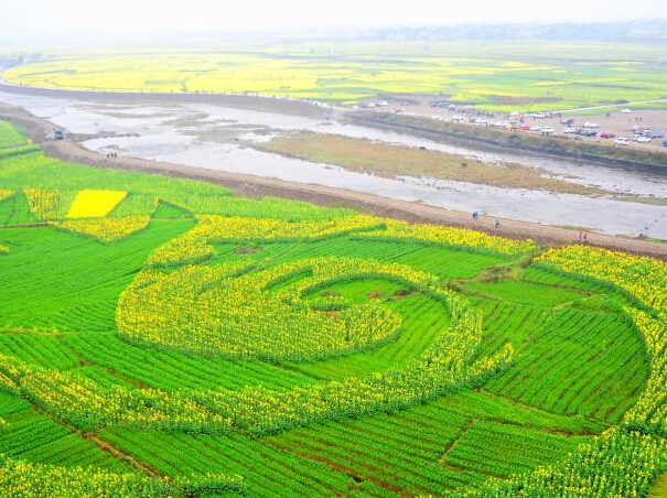 �������� ������ɽ��Ķ��ɫ���������Ρ�