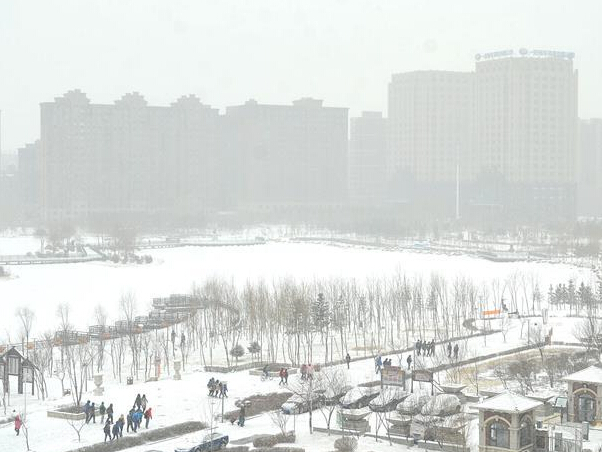 �����ս���ѩ��