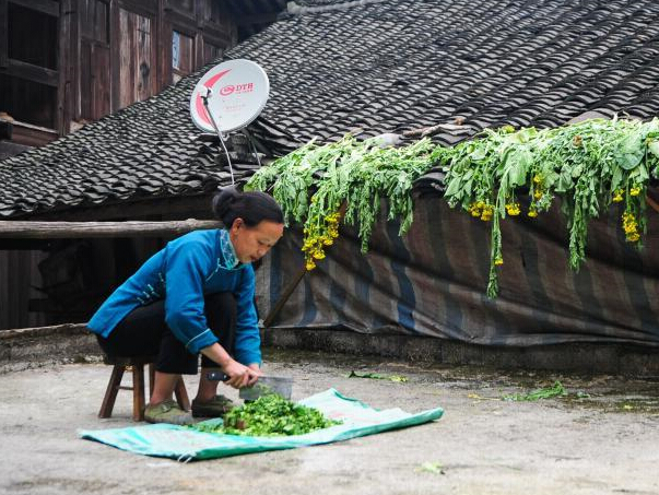 ���˽���կ�������ĸ�Ů��