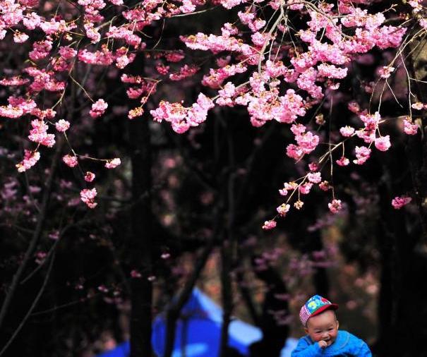 ����ӣ��ʢ�� ����̤���ͻ���