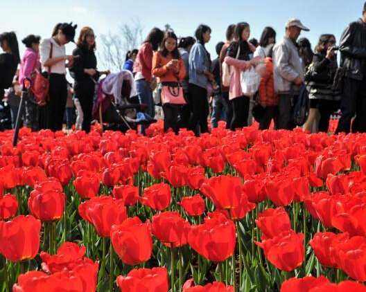 ����60����������ʢ�� �������Ŷ��ͻ���