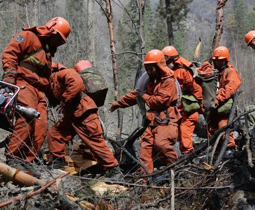 �������ɭ�ֻ��������������