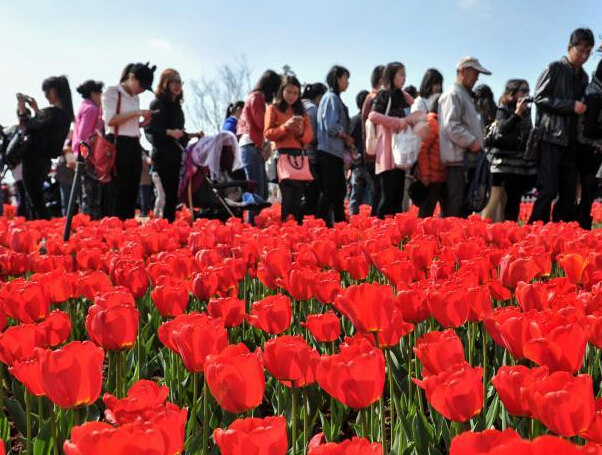 ����60����������ʢ�� �������Ŷ��ͻ���