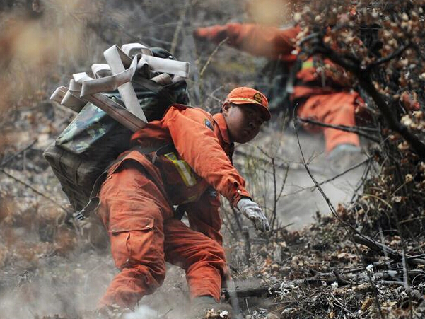 �������ɭ�ֻ��������������