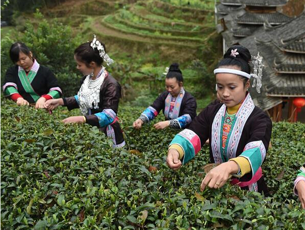 ��������ɴ��衱