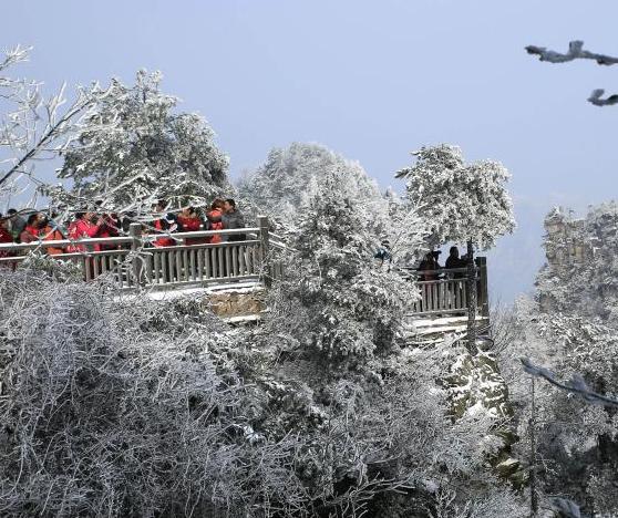 �żҽ�����Դ��ѩ���� �ƺ�����ͬ�֡�