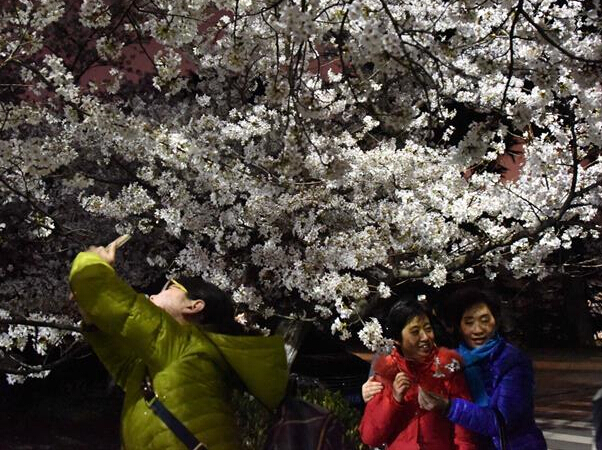 ���ҹ��ӣ����