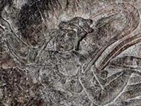 ����ʯ�߿������׶ȿ��� �ƴ��޺�Ⱥ���ع⡱