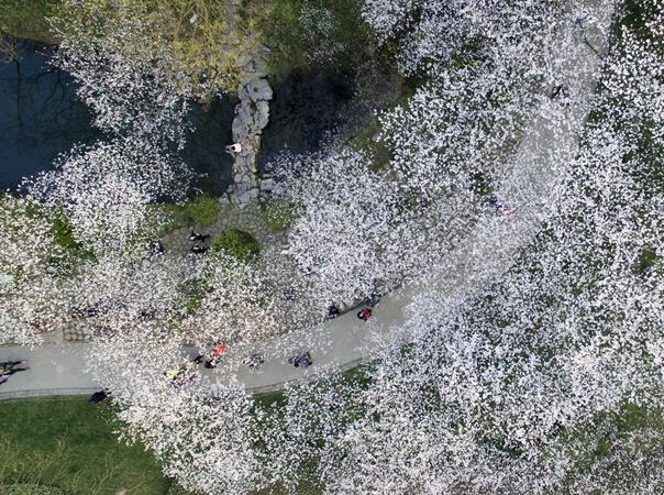 ����ӣ��������