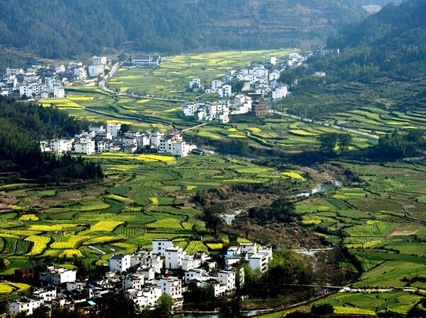 ��Դʮ��Ķ�Ͳ˻�½������ʢ���ڡ�