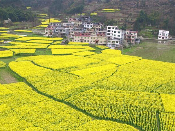 �Ͳ˻������۴���