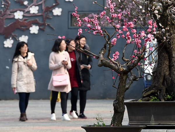 �Ͼ�����÷����ϡ�չʾ÷�Ļ���