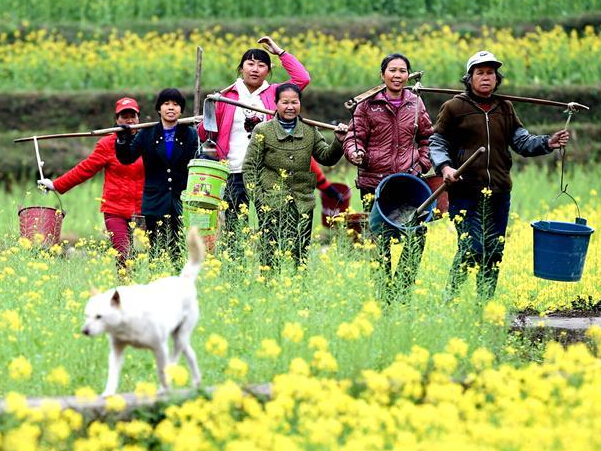 ��ϣ������Ұ�ϡ�