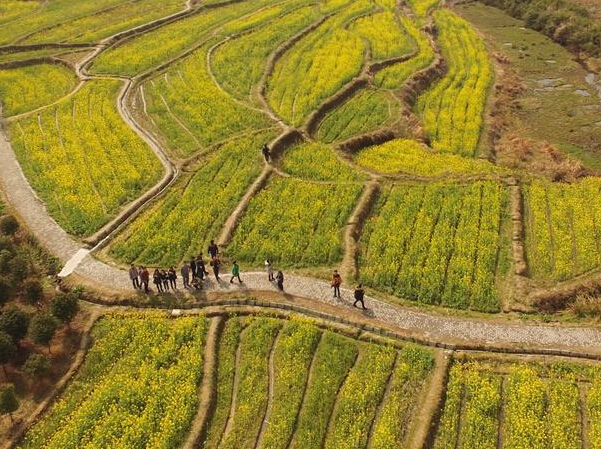 ���ֻش�ء�