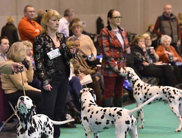 �������չ��Ļ��