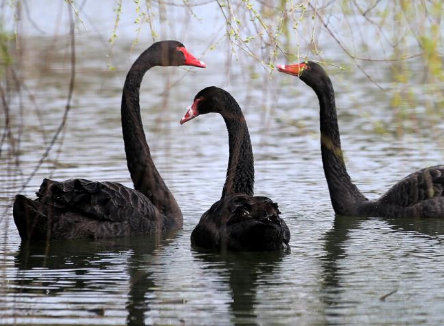 �й����ϴ���ˮů �����߮�����⡱