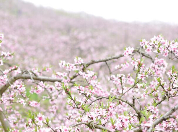 ������Զ�һ�԰ �������ٻ��ޡ�