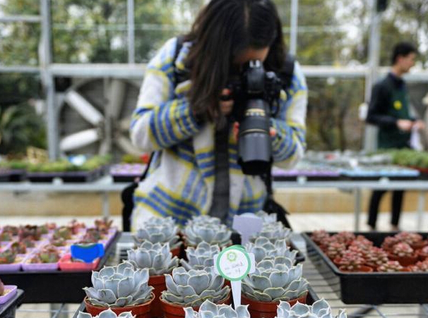 ����ֲ��԰���ж���ֲ��չ �ȷ��ο͡�