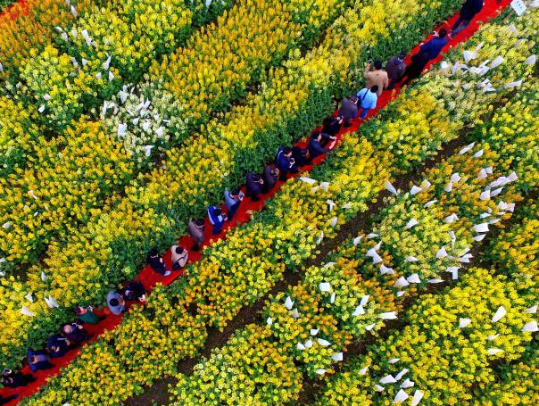 �Ĵ���ɫ���Ͳ˻������̴�ͼ���ࡱ