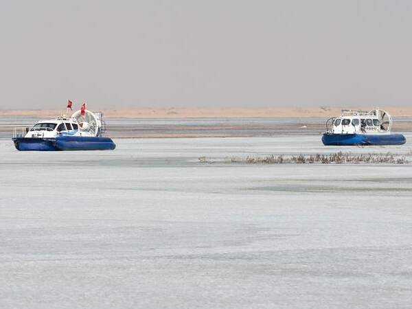 ���ɹţ����豬�Ʊ��ƺ�ƽ�ȿ��ӡ�