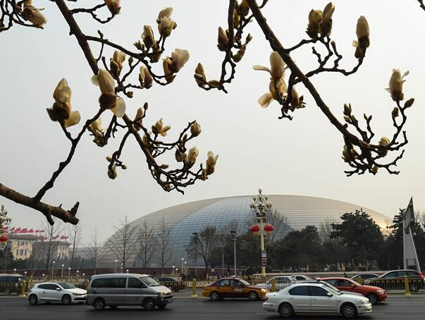 �������������֡�